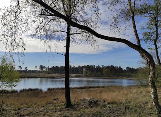 belgium/campine-kempen/landmark/zwart-water