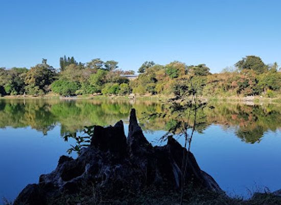 el-salvador/lake-coatepeque/landmark/parque-arqueologico-tazumal