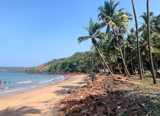 india/goa-beaches/landmark/canaguinim-beach