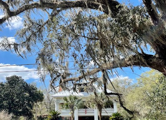 florida/north-florida/landmark/micanopy-historic-district