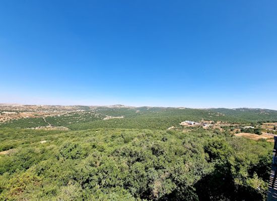 jordan/ajloun-forest-reserve/landmark/mahmiyat-ghabat-ajloun