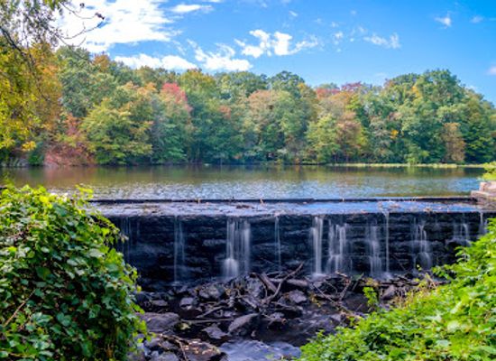 new-york/leatherstocking-region/landmark/sheldrake-environmental-center
