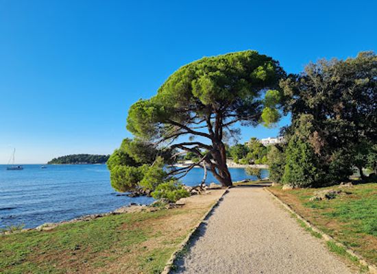 croatia/rovinj/landmark/park-forest-zlatni-rt
