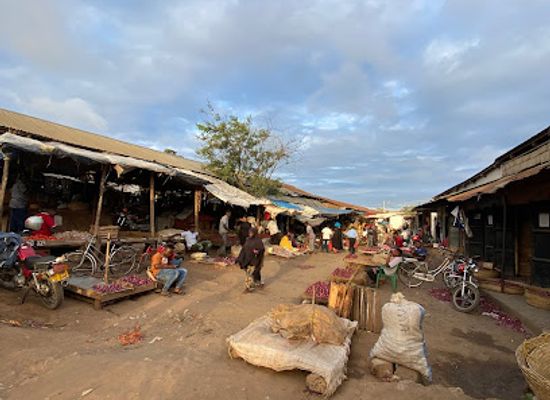 tanzania/tanga/landmark/mgandini-market