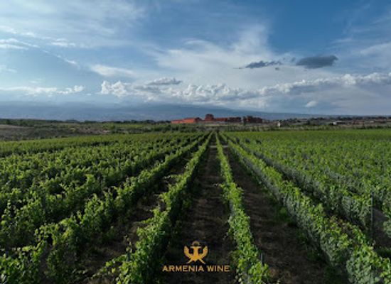 armenia/aragatsotn/landmark/armenia-wine-company