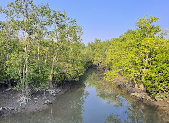 india/sundarbans/landmark/hiron-point