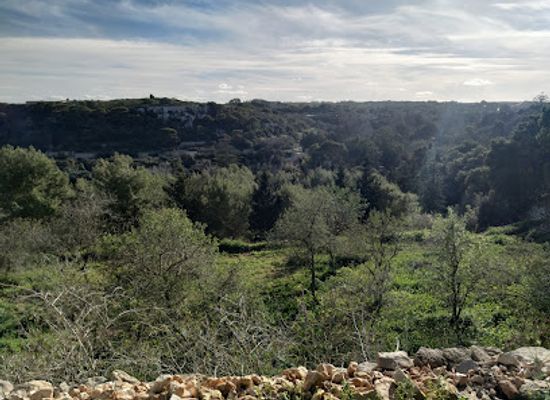 malta/dingli-cliffs/landmark/verdala-palace