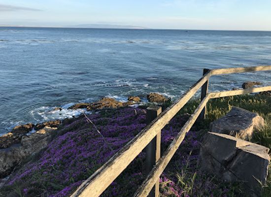 california/central-coast/landmark/memory-park