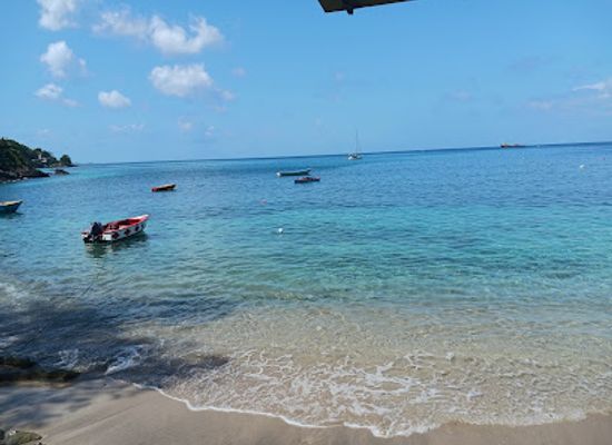 grenada/levera-beach/landmark/grenada-underwater-sculpture-park