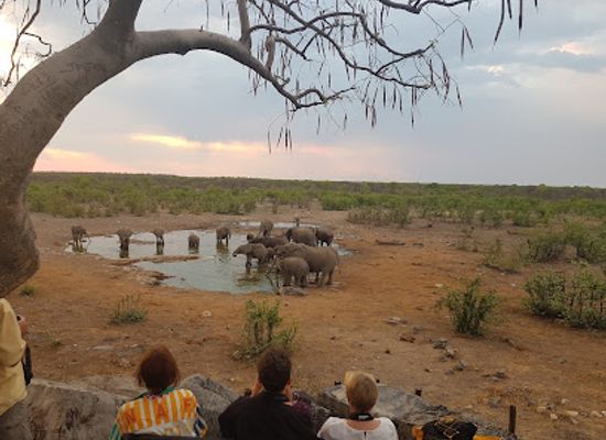 namibia/windhoek/landmark/motema-tours-and-safaris-namibia