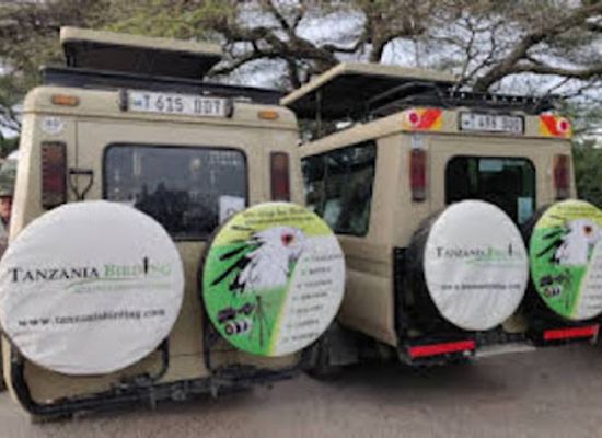tanzania/northern-zone/landmark/tanzania-birding-and-beyond-safaris