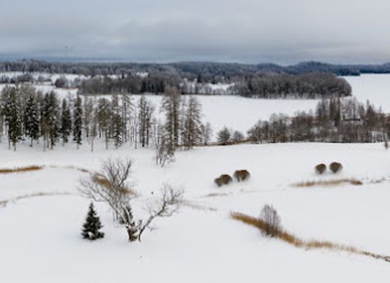 estonia/otepaa-ski-resort/landmark/puhajarve-sojatamm