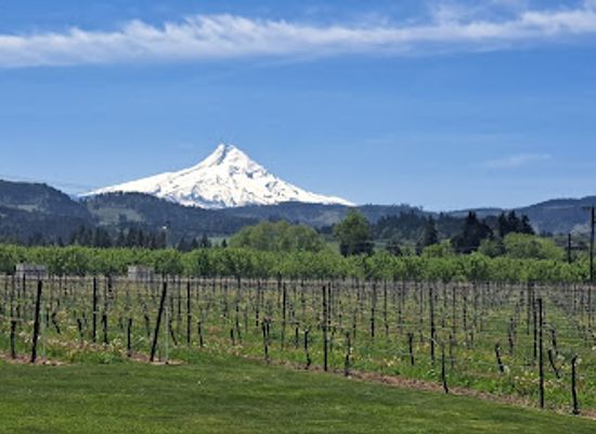 oregon/hood-river/landmark/mount-hood-railroad