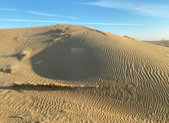 uzbekistan/kyzylkum-desert/landmark/pustynya-kyzylkum