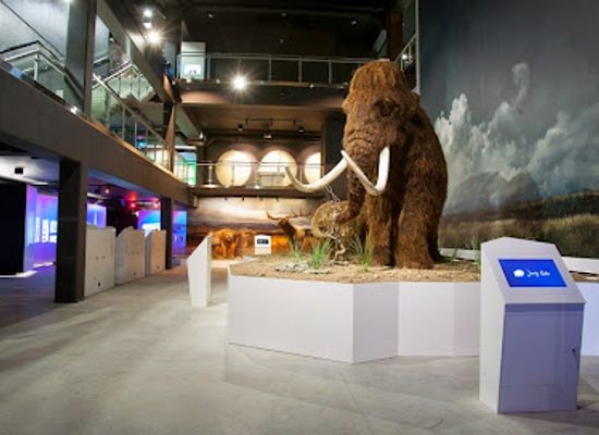 estonia/tartu-county/landmark/ice-age-centre
