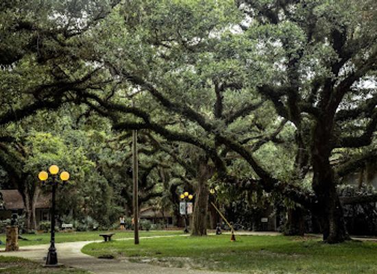 florida/nature-coast/landmark/flamingo-gardens