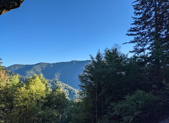 north-carolina/great-smoky-mountains/landmark/arch-rock