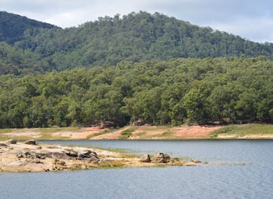 australia/atherton-tablelands/landmark/cottage-cafe-tolga