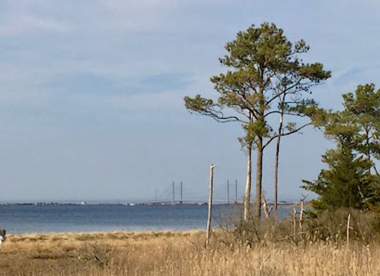 delaware/the-lewes-and-rehoboth-canal-area/landmark/james-farm-ecological-preserve