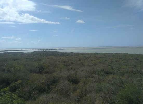 mexico/yucatan-peninsula/landmark/ruinas-de-emal