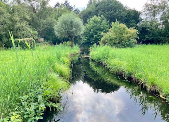 netherlands/zaanstreek/landmark/heemtuin