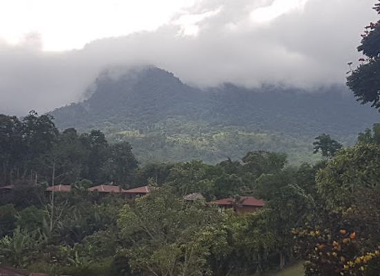 costa-rica/la-fortuna/landmark/rainforest-chocolate-tour