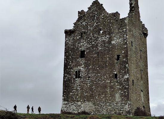 ireland/county-limerick/landmark/oola-castle