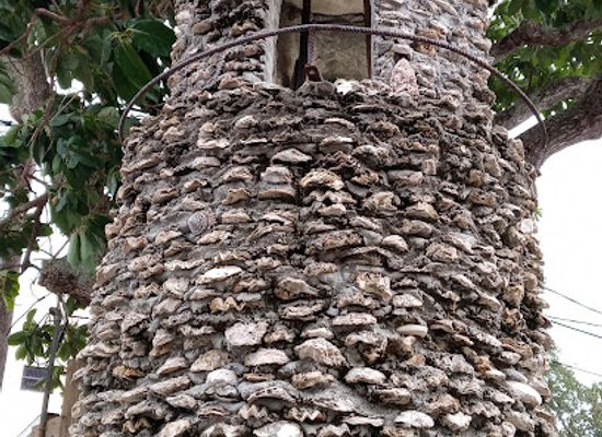 florida/southeast-florida/landmark/braden-castle-historical-site