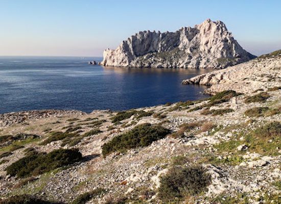 france/marseille-calanques/landmark/marseille-cathedral