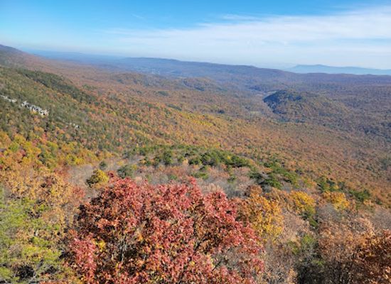virginia/roanoke-valley/landmark/george-washington-jefferson-national-forest