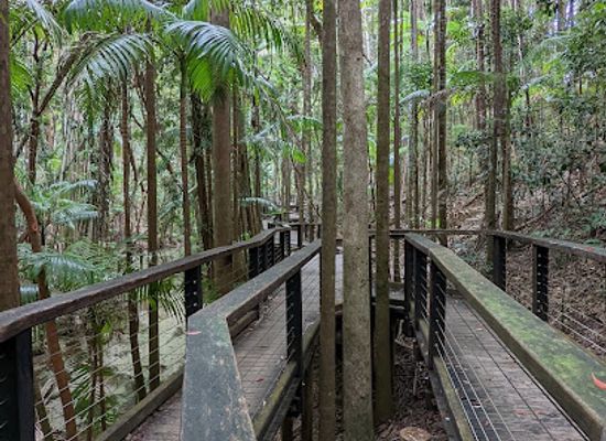 australia/fraser-island/landmark/fraser-island-recreation-area