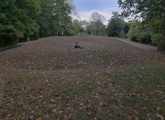 ohio/western-ohio/landmark/serpent-mound-historic-site