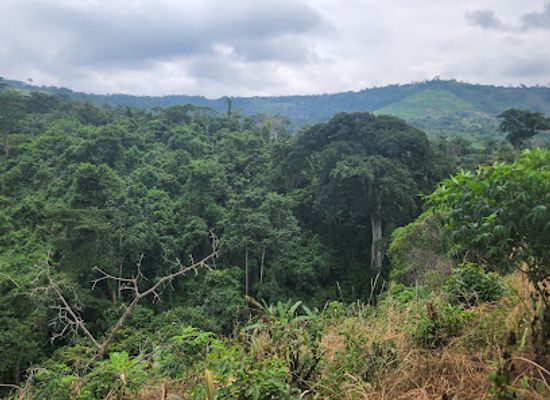 togo/mango/landmark/cascade-de-wome