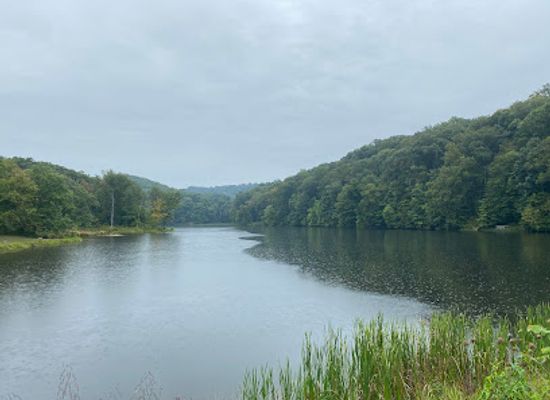 indiana/brown-county-state-park/landmark/trail-8-brown-county-state-park