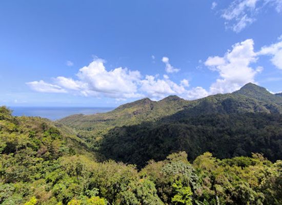 saint-lucia/soufriere-quarter/landmark/cacoa-sainte-lucie
