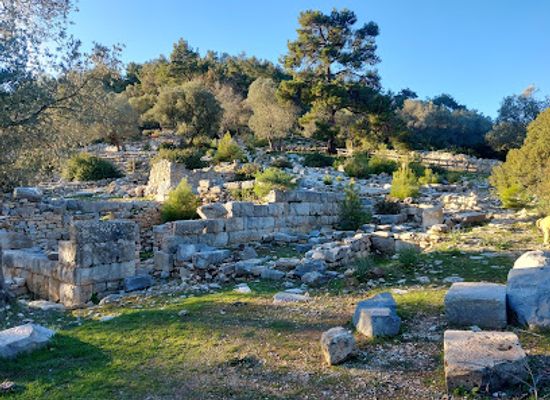 turkiye/bodrum/landmark/pedasa-antique-city