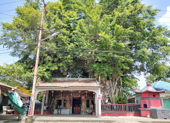 indonesia/riau-islands/landmark/banyan-tree-temple