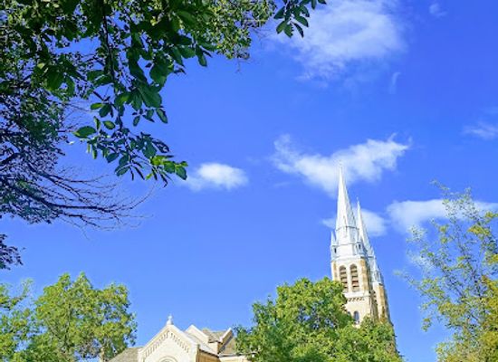 canada/regina/landmark/holy-rosary-cathedral