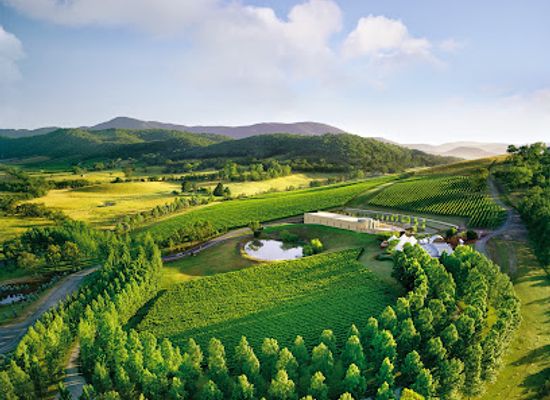 australia/yarra-valley/landmark/tarrawarra-yarra-valley-winery-restaurant-cellar-door