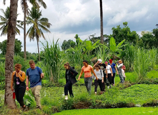 tanzania/moshi/landmark/rau-eco-cultural-tourism-enterprise
