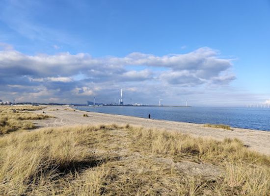 denmark/zealand/attraction/amager-beachpark