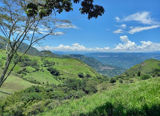 colombia/serrania-del-perija/landmark/serrania-de-los-yariguies-national-natural-park