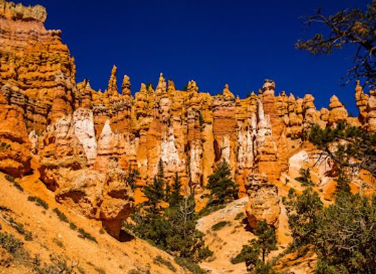 utah/bryce-canyon-city/landmark/wall-street