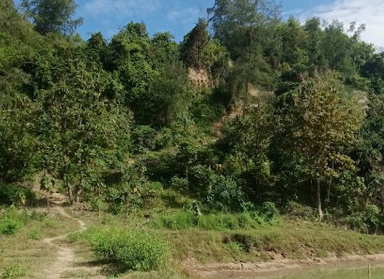 bangladesh/cox-s-bazar/himchori/landmark/cox-bajar