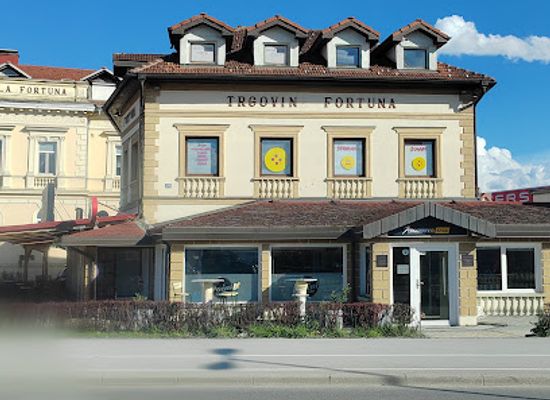slovenia/celje/landmark/celeia-mesto-pod-mestom