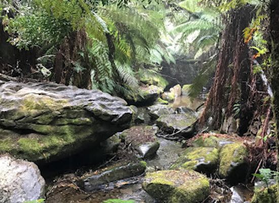 australia/mount-field-national-park/landmark/marakoopa-cave