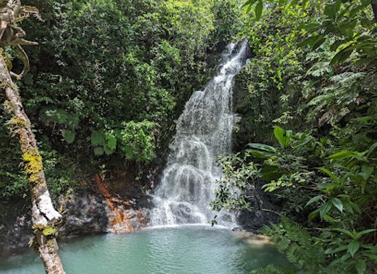 belize/cockscomb-basin-wildlife-sanctuary/landmark/jaguar-reserve-nature-center