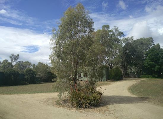 australia/darling-downs/landmark/darling-downs-zoo