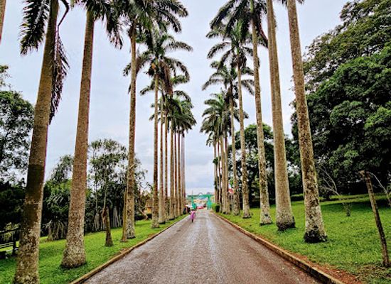 ghana/aburi/landmark/aburi-botanical-gardens-park-tortoisepath-com