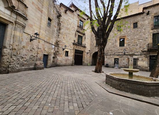 spain/barcelona/barri-gotic/landmark/el-gotic-barri